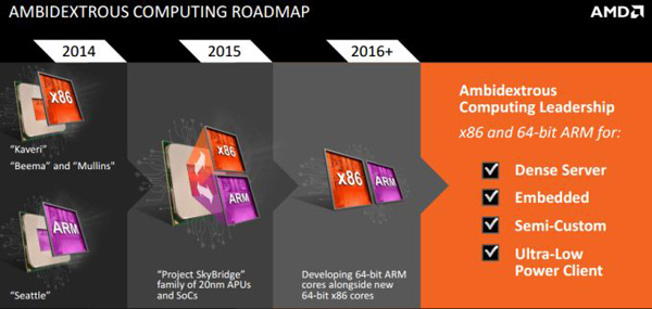 AMD Project Skybridge