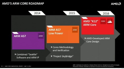 AMD Project Skybridge